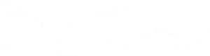 vector img