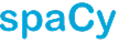 SpacyImg